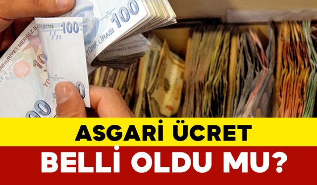 Asgari Ücret Ne Kadar Olacak?