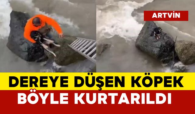 Dereye Düşen Köpek Kurtarıldı