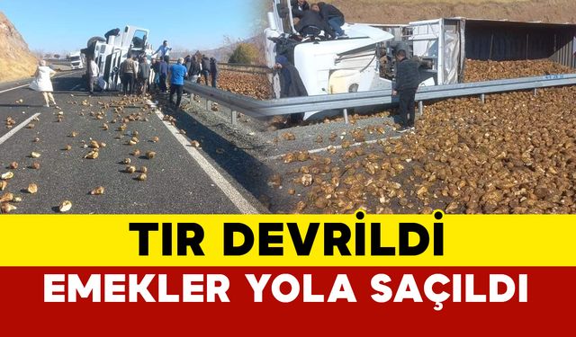 Elazığ'da Tır Devrildi: Pancarlar Yola Saçıldı