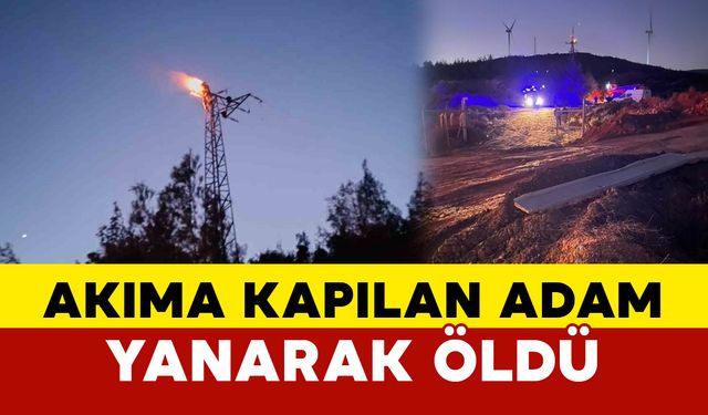 Elektrik direğinde akıma kapılan şahıs yanarak öldü