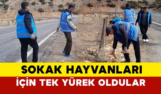 Ermenek Yurdu Gönüllü Gençlerinden Sokak Hayvanlarına Destek