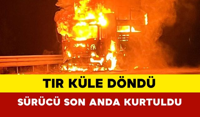 Erzurum'da Seyir Halindeki Tır Yanarak Küle Döndü