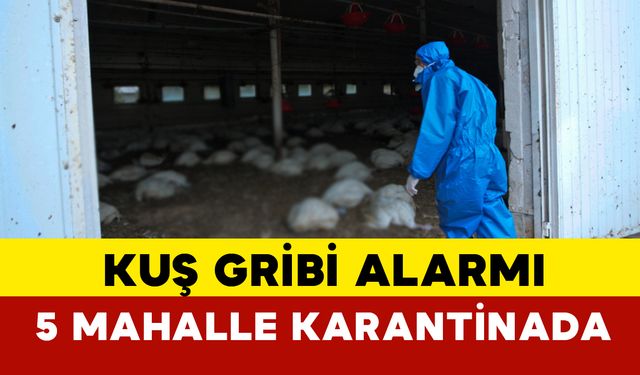 Eskişehir’de kuş gribi alarmı: 5 mahalle karantinada