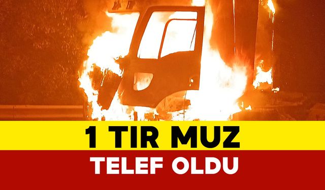 İstanbul'de muz yüklü tır alev alev yandı