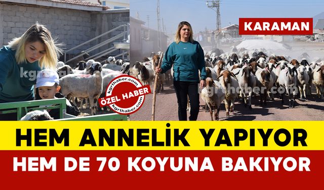 Karaman'da üniversite mezunu 30 yaşındaki kadın hem annelik yapıyor hem 70 koyuna bakıyor