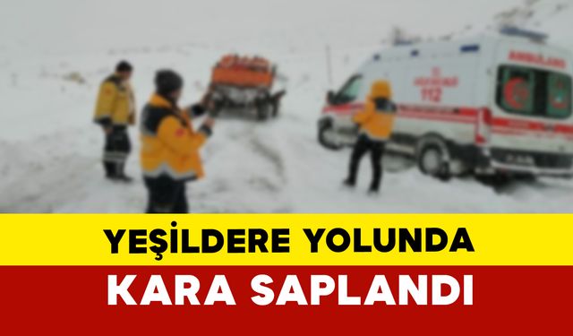 Karaman'da Yoğun Kar ve Tipi Ambulansı Yolda Bıraktı