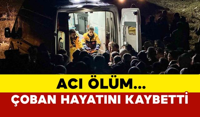 Kaya parçalarının altında kalan çoban hayatını kaybetti