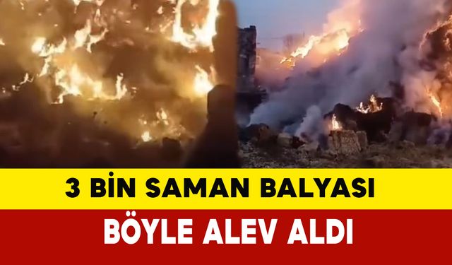 Konya’da 3 Bin Saman Balyası Kundaklandı