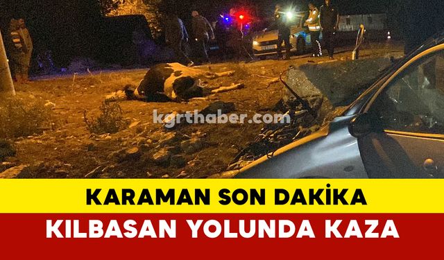 Önüne Çıkan İneğe Çarpan Aile, Büyük Kazada Yaralandı