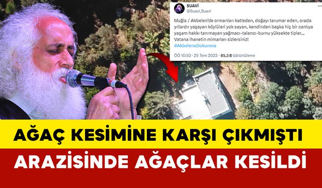 Suavi’nin Bodrum’daki arazisinde 40 ağaç kesildi