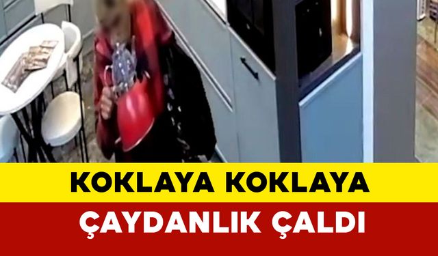 Tekirdağ'da İlginç Hırsızlık: Çaydanlığı Koklaya Koklaya Çaldı