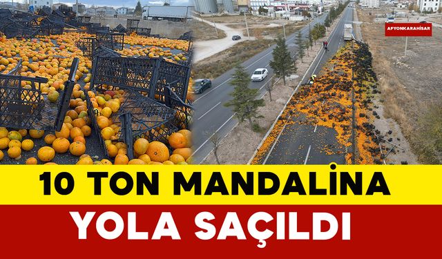 Tır Kazası: 10 Ton Mandalina Yola Saçıldı