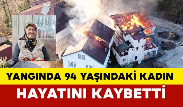 94 yaşındaki kadın hayatını kaybetti 2 ev tamamen yandı