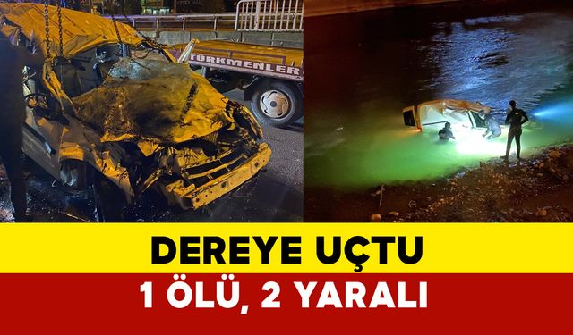 Artvin Hopa’da Hafif Ticari Araç Dereye Uçtu: 1 Ölü, 2 Yaralı