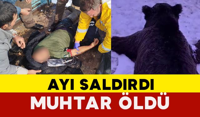 Ayı, Muhtarı Öldürdü