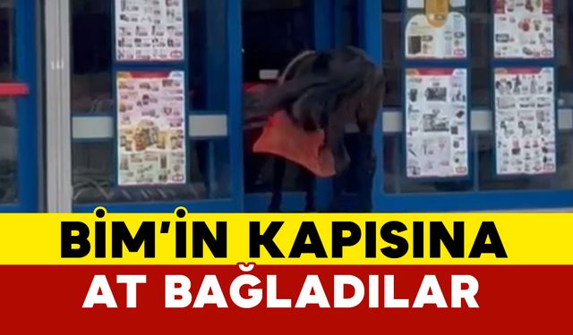 BİM’in kapısına at bağladılar