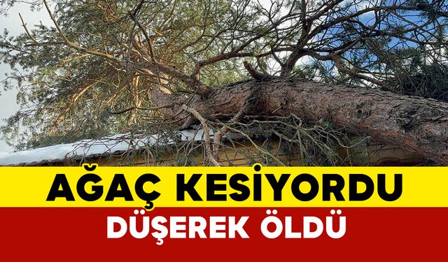 Bolu'da çatıda ağaç kesen yaşlı adam düşerek hayatını kaybetti