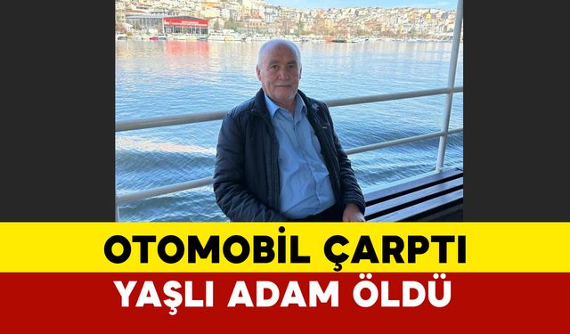 Denizli’de Otomobilin Çarptığı Yaşlı Adam Öldü