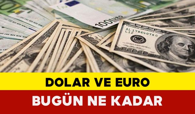 Dolar ve Euro Bugün Ne Kadar? 15 Haziran 2024 Cumartesi Döviz Fiyatları