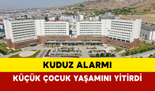 Elazığ’da Kuduz Alarmı: Küçük Çocuk Yaşamını Yitirdi