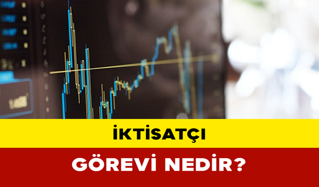 İktisatçı Görevi Nedir?