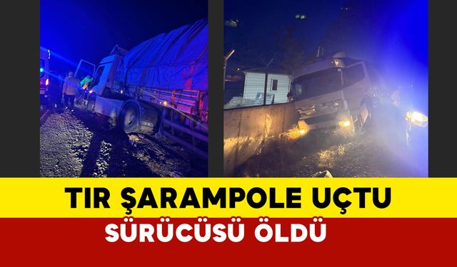 Konya Ereğli’de Tır Şarampole Uçtu: Sürücü Hayatını Kaybetti