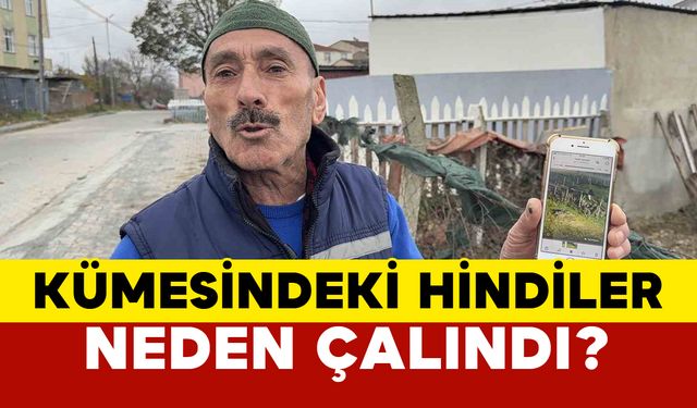 Kümeste İlginç Hırsızlık!