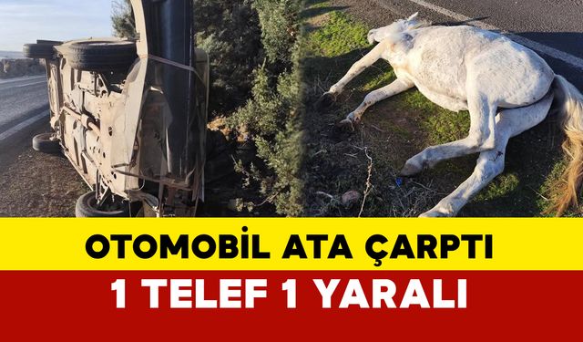 Otomobil Ata Çarptı: 1 Telef, 1 Yaralı