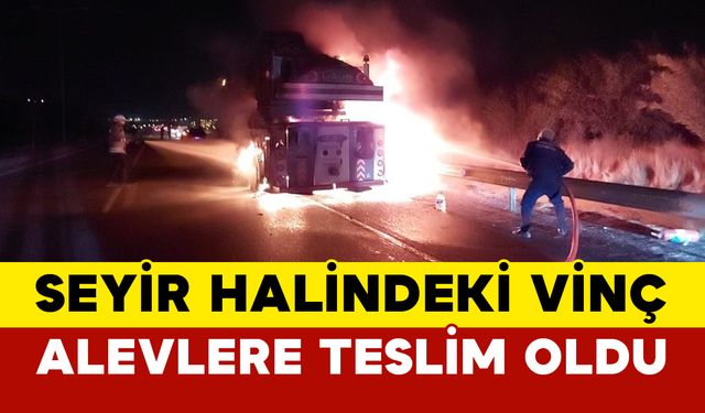 Seyir halindeki vinç alevlere teslim oldu