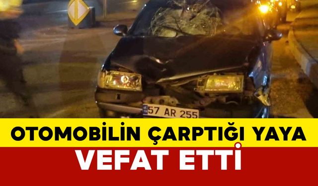 Sinop’ta otomobilin çarptığı yaya öldü