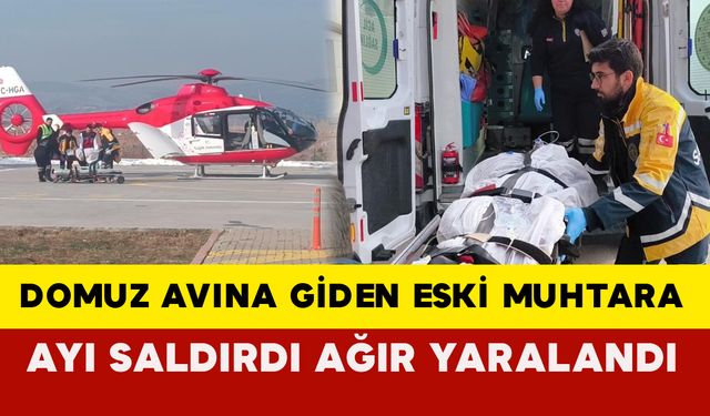 Sivas’ta domuz avına giden eski muhtara ayı saldırdı ağır yaralandı