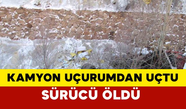 Virajı alamayan kamyon 100 metrelik uçurumdan uçtu, sürücü hayatını kaybetti