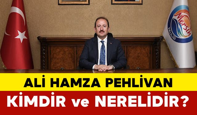 Ali Hamza Pehlivan Kimdir ve Nerelidir?