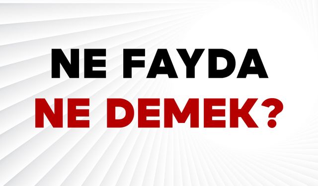Ne Fayda Ne Demek?