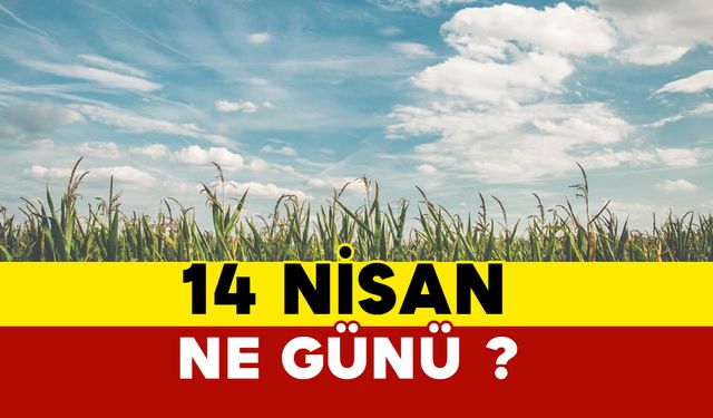 14 Nisan Ne Günü?