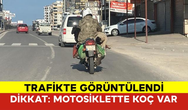 Dikkat: Motosiklette Koç Var