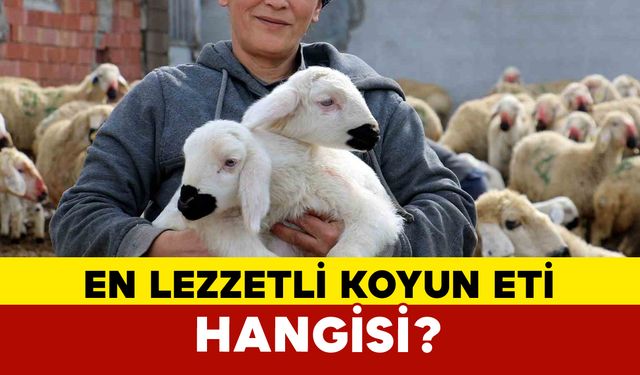 En Lezzetli Koyun Eti Hangisi?