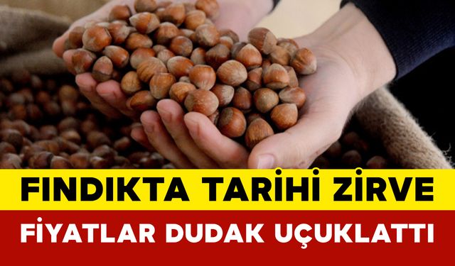 Fındıkta Tarihi Zirve: Fiyatlar 200 Lirayı Aştı