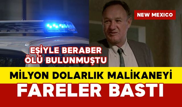 Gene Hackman ve eşi ölü bulunmuştu: Milyon dolarlık malikaneyi fareler bastı