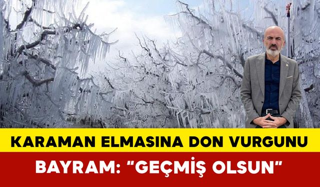 Karaman’da Elma Bahçeleri Don Vurgunu Yedi