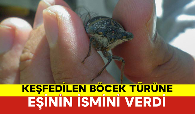 Keşfedilen Böcek Türüne Eşinin İsmini Verdi