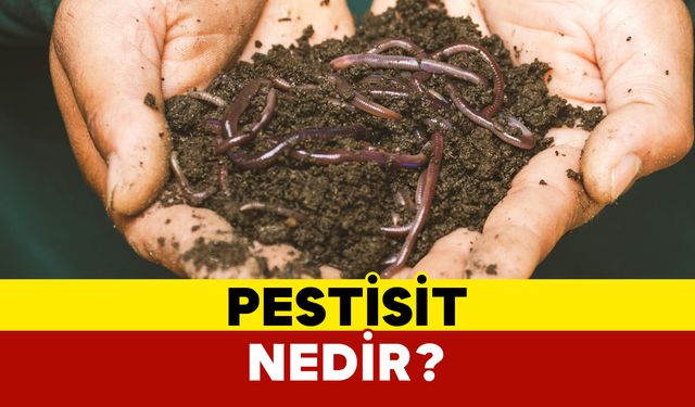 Pestisit nedir?