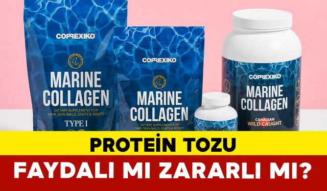 Protein Tozu Faydalı mı Zararlı mı?