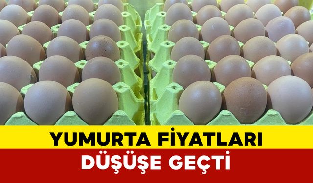 Yumurta fiyatları "mayıs çukuru" yaklaşınca düşüşe geçti