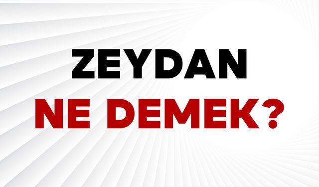 Zeydan Ne Demek?