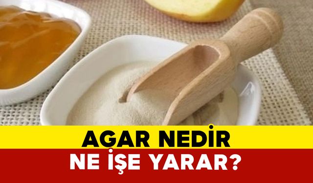 Agar Nedir ve Ne İşe Yarar?