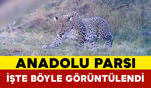 Bakan Yumaklı Anadolu Parsı’nı Paylaştı