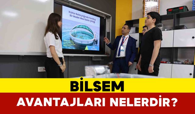 BİLSEM’in Avantajları Nelerdir?