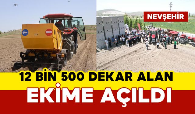 Patatesler 21 yıl sonra toprakla buluştu