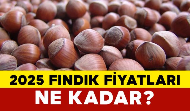 2025 Fındık Fiyatları Ne Kadar?